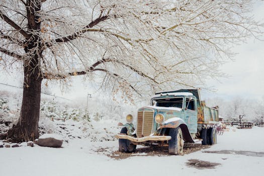 Discover Reno's Charm: Historic Rentals Blend Past with Present