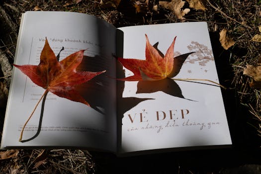 Essential Guide to Equipping Pet-Friendly Rentals in Reno, Nevada