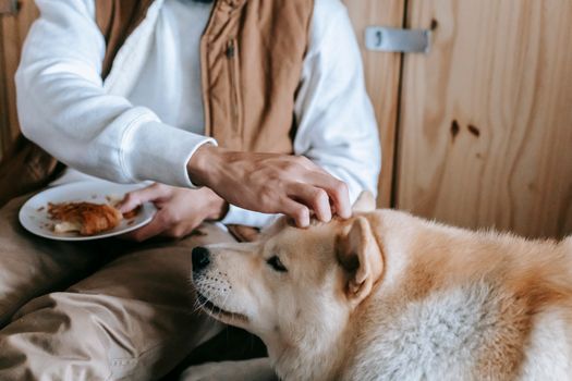 Navigating Pet-Friendly Rentals in Reno: A Complete Guide for Pet Owners