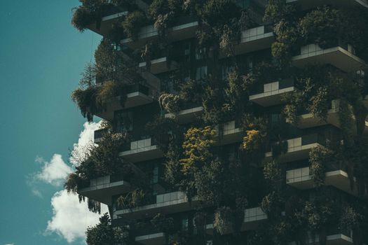 Eco-Friendly Rentals in Reno: Trends, Benefits & How to Find Them